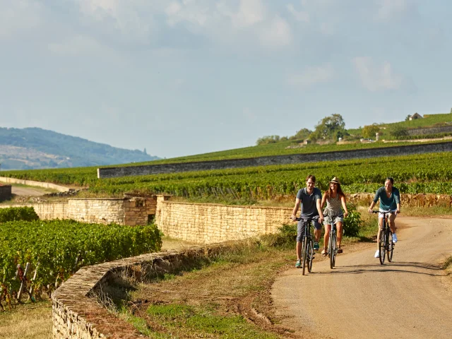 Voie Des Vignes Bourgogne Velo 33