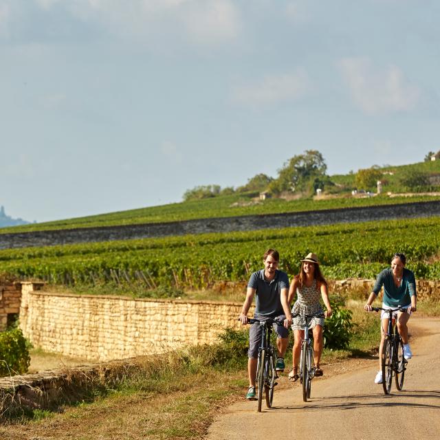 Voie Des Vignes Bourgogne Velo 33