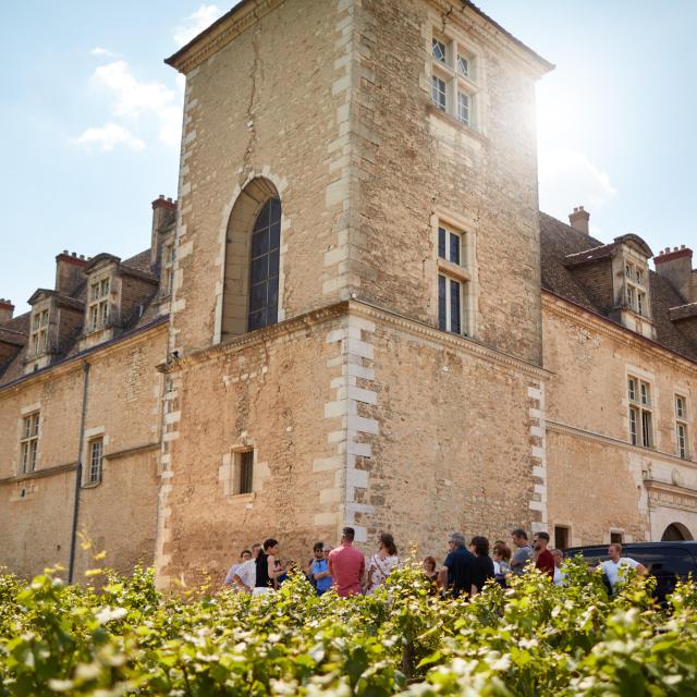 Chateau Clos De Vougeot Vignes