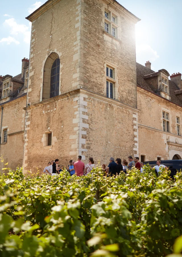 Chateau Clos De Vougeot Vignes