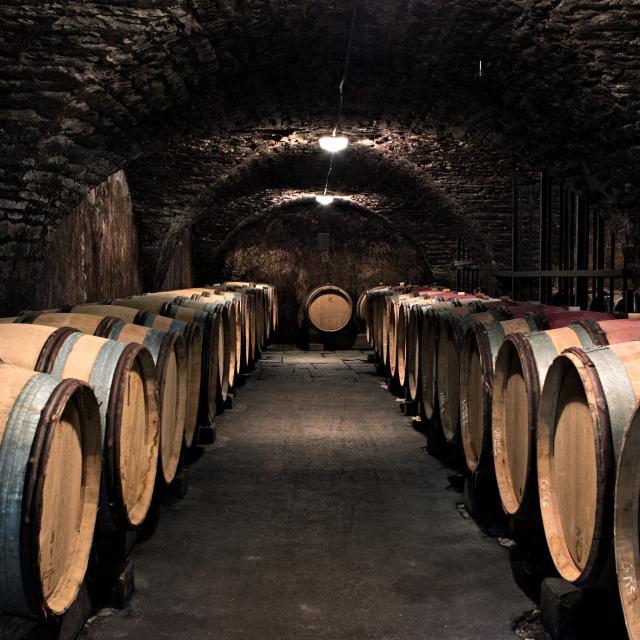 Chateau La Cree Caves