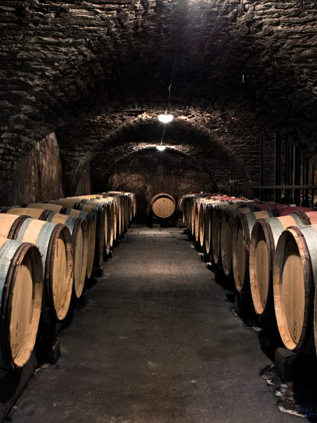 Chateau La Cree Caves