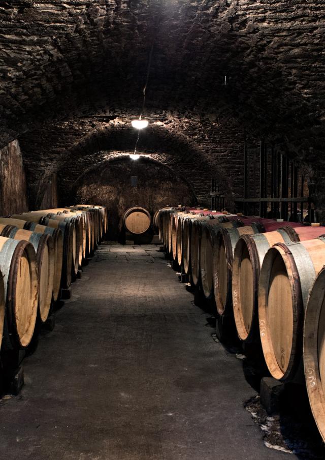 Chateau La Cree Caves