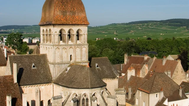 Collégiale Notre-Dame vu d'en-haut avec la Côte en arrière plan