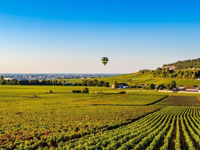 Montgolfière dans les Vignes