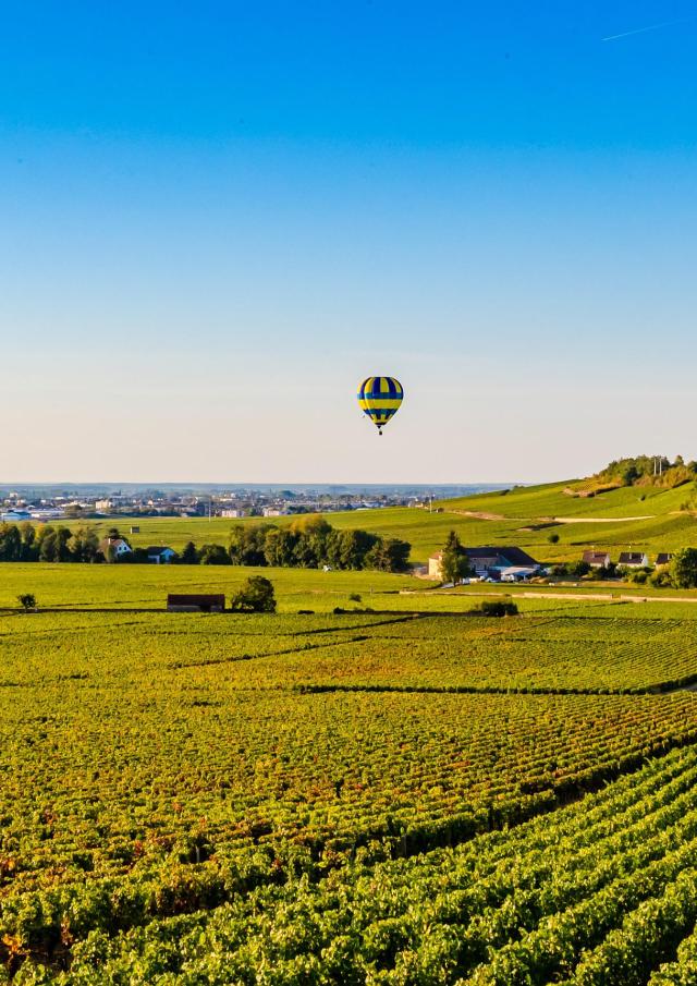 montgolfiere-vignes-ete
