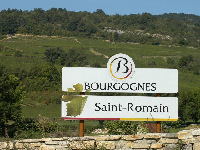 saint-romain-panel