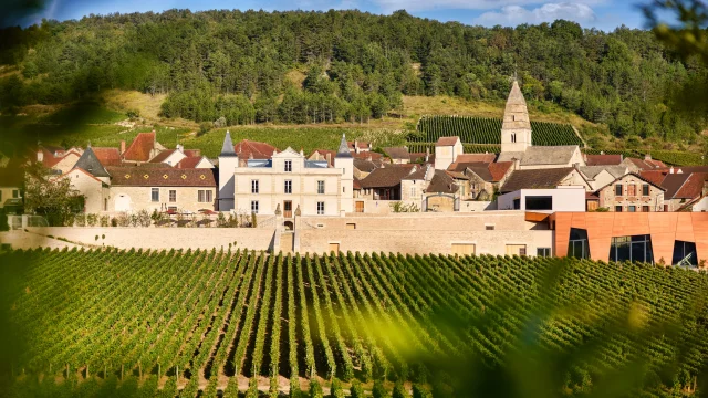 Prosper Maufoux Chateau