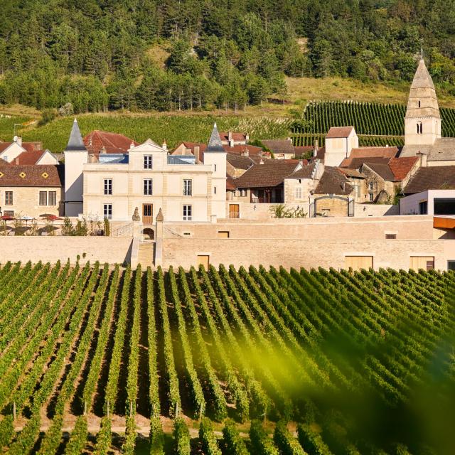 Prosper Maufoux Chateau