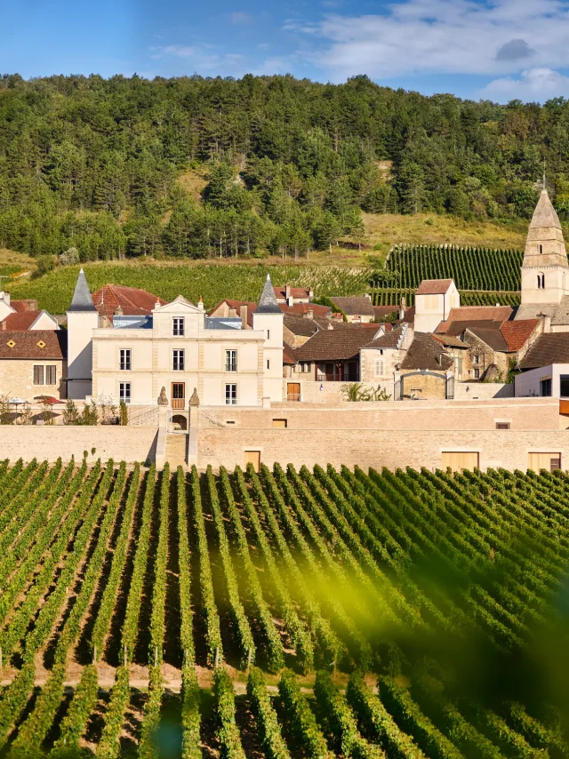 Prosper Maufoux Chateau