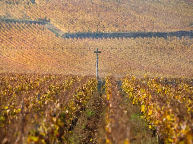 Paysage dans le vignoble de la Côte de Nuits : Romanée-Conti en automne