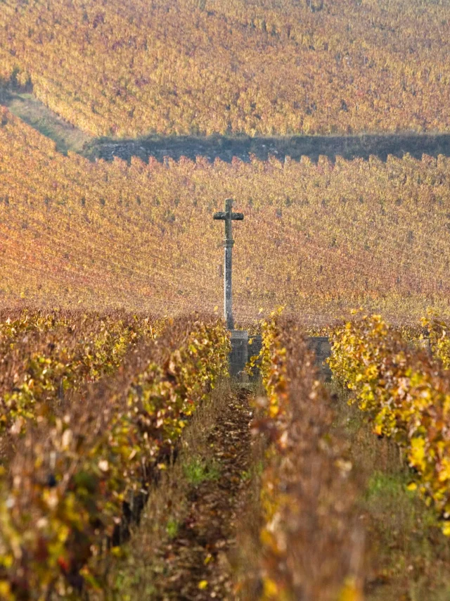 Paysage dans le vignoble de la Côte de Nuits : Romanée-Conti en automne
