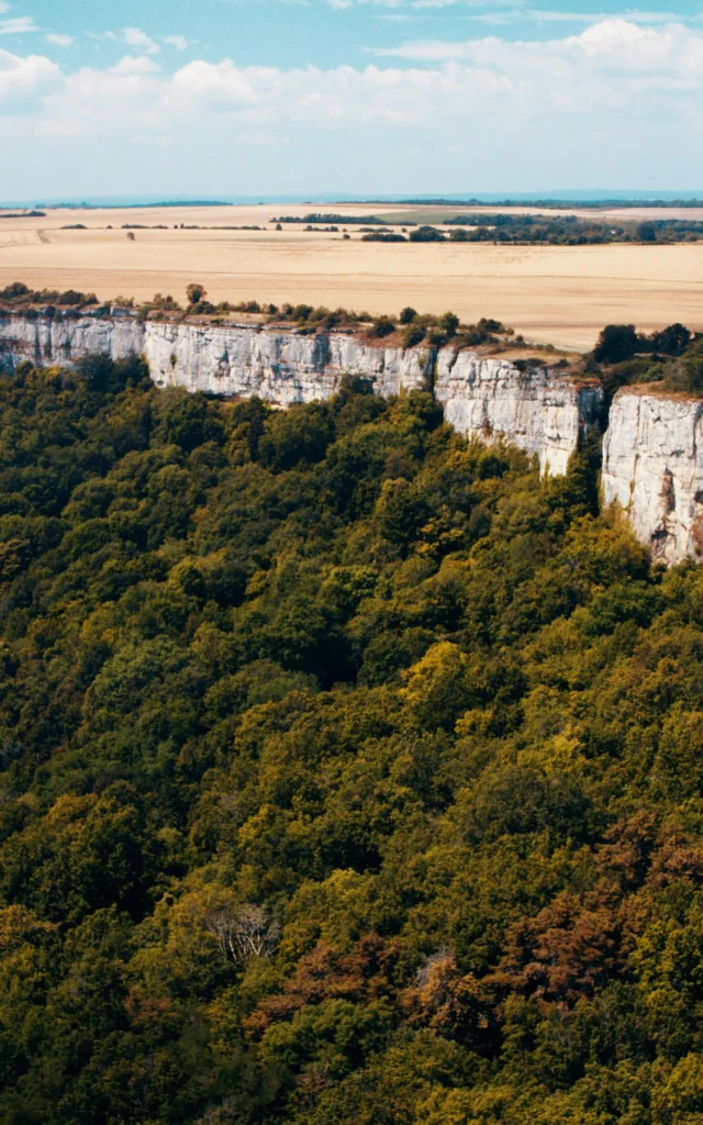 saint-romain-falaise