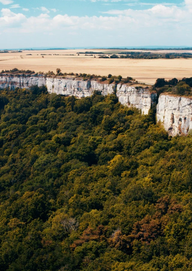 Saint Romain Falaise