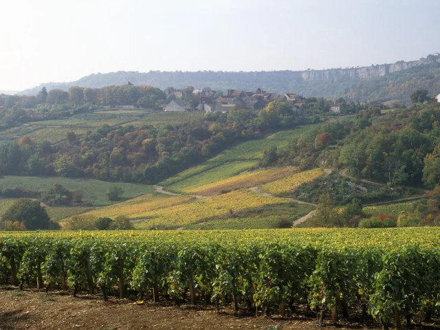 saint-romain-vigne
