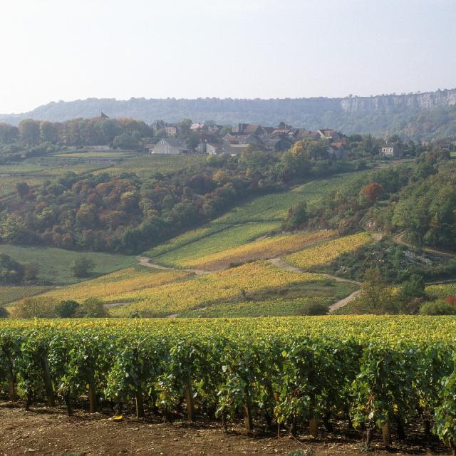 saint-romain-vigne