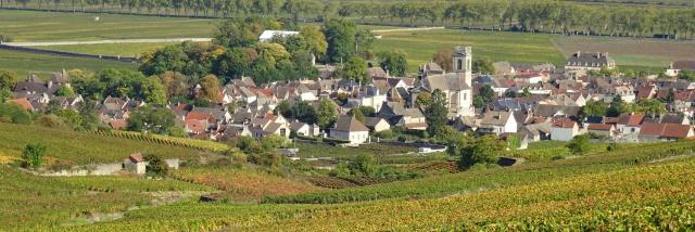 vinha-pomard-outono-1