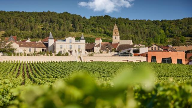 Prosper-Maufoux-S-Chapuis-clos-chateau