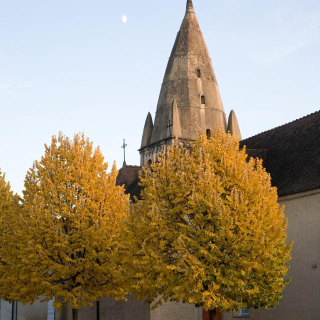 bligny-automne