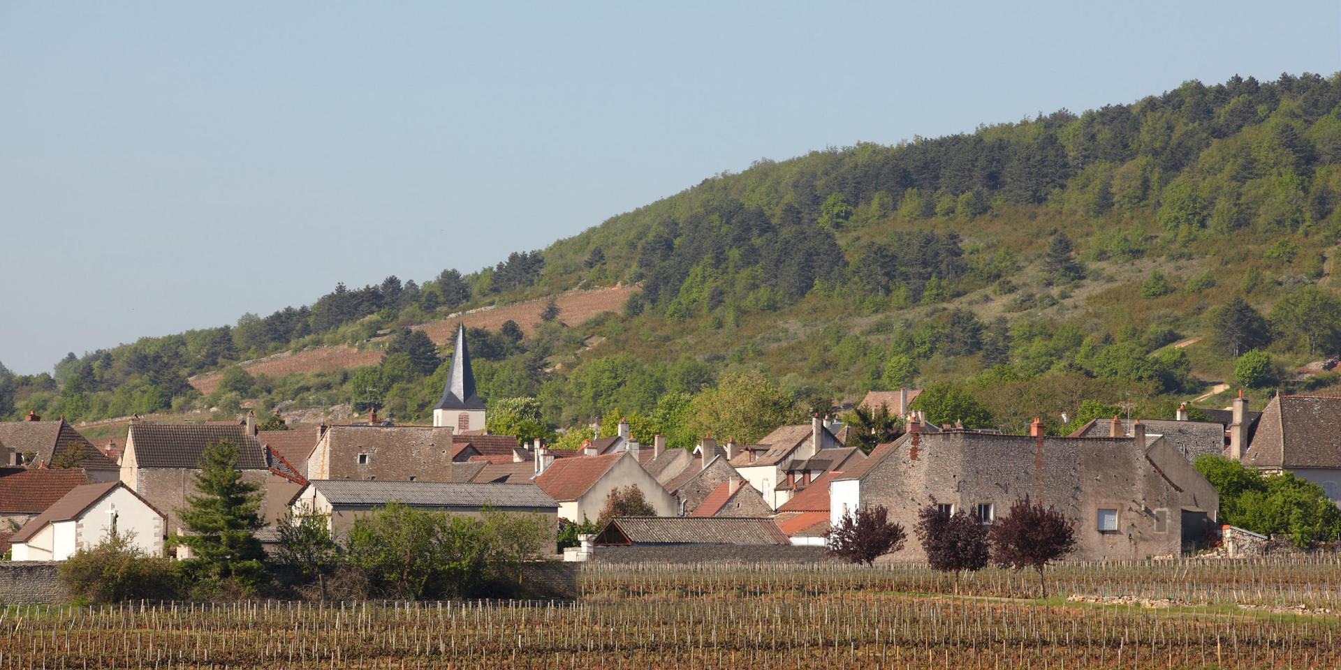 Chassagne Montrachet Village