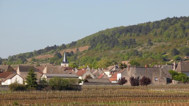 chassagne-montrachet-village