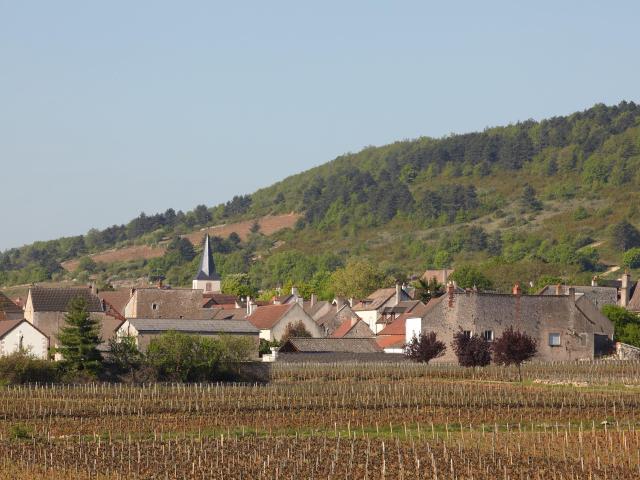 chassagne-montrachet-village