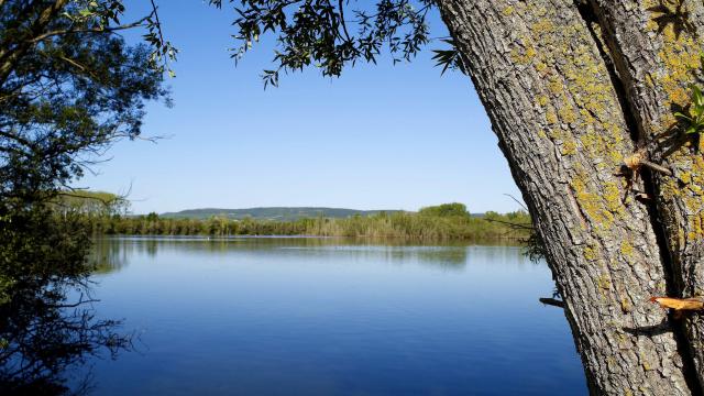 Teich