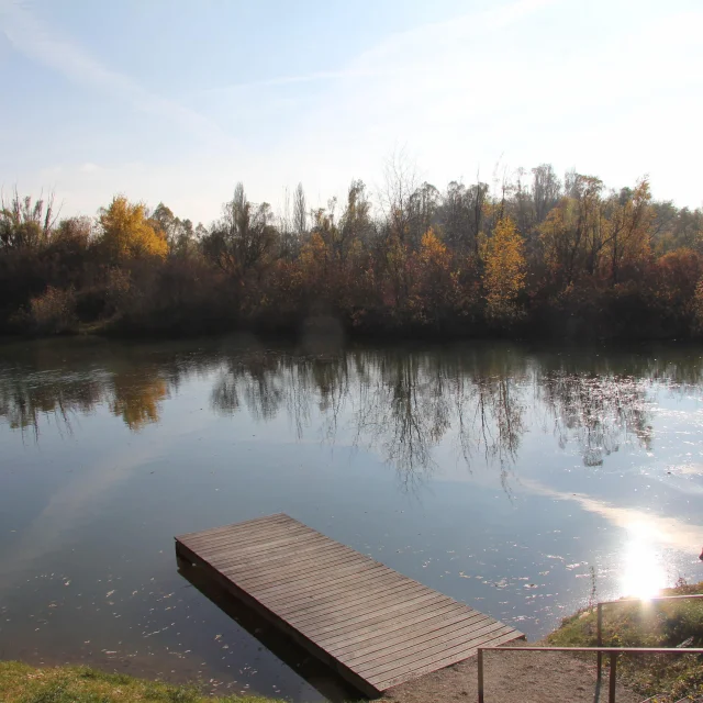 Etang Ponton 2