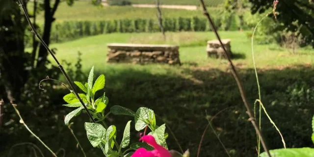 jardin-charrons-meursault