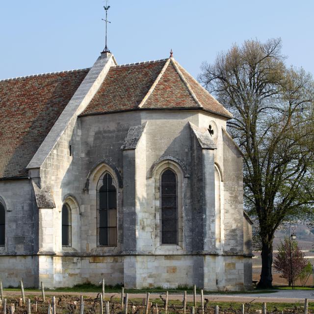 ladoix-serrigny-eglise