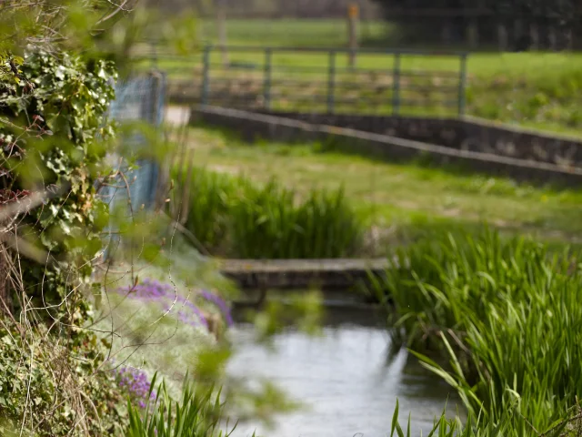 ladoix-serrigny-ruisseau-spring