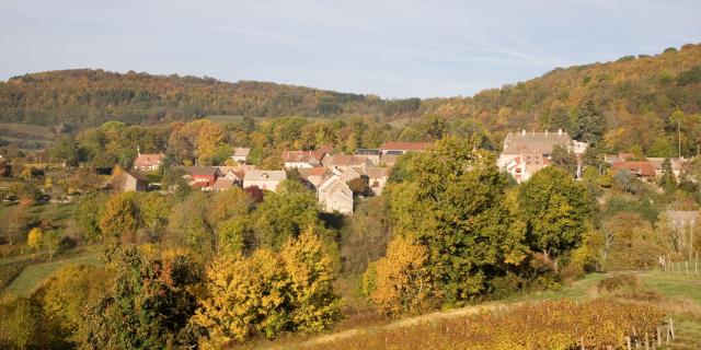 mavilly-mandelot-vignobles-automne