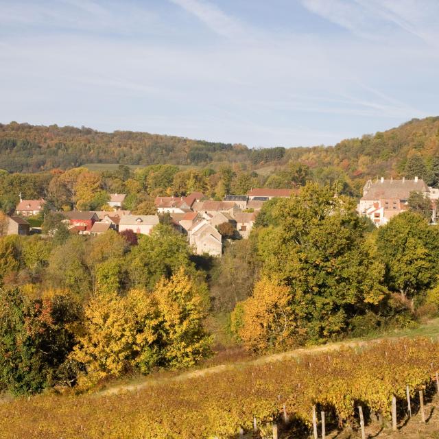 mavilly-mandelot-vignobles-automne