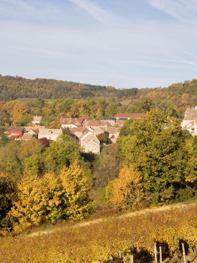 mavilly-mandelot-vignobles-automne