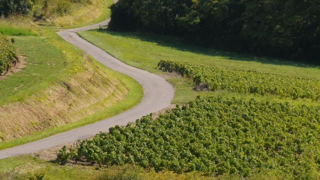meloisey-mavilly-nantoux-route-vignes