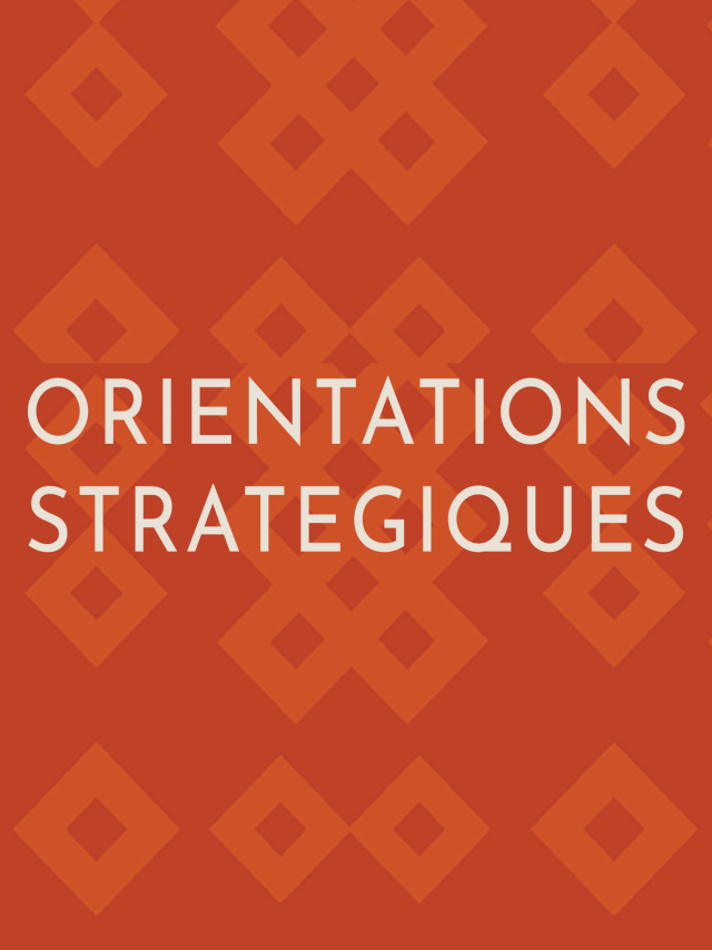 oriëntatie-strategie