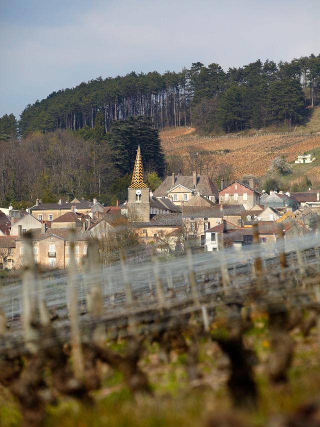 pernand-vergelesses-village
