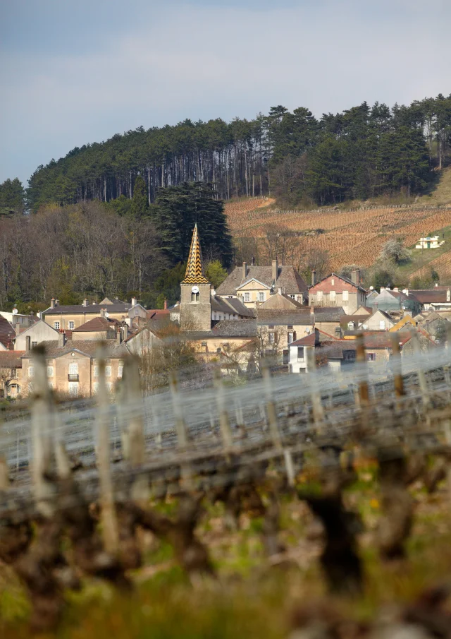 Pernand Vergelesses Village