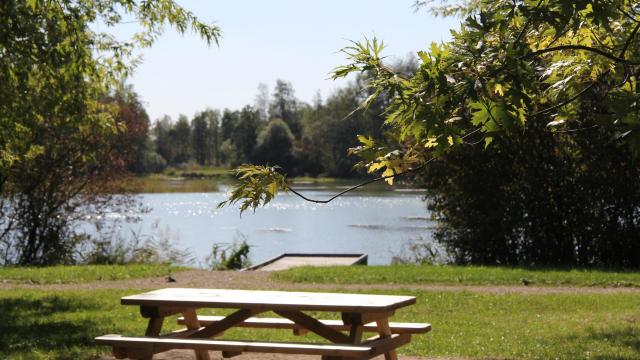 picknick-etang