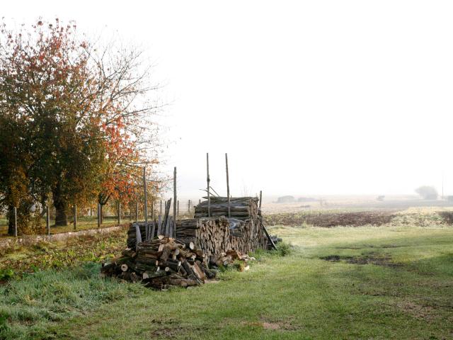 ruffey-les-beaune-champs-automne