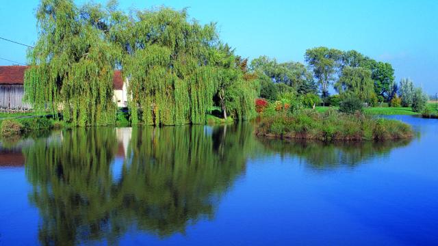 sainte-marie-la-blanche-lac