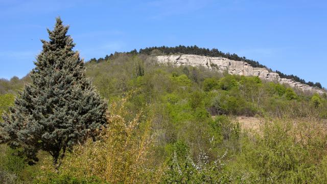sapin-falaise-cormot-vauchignon
