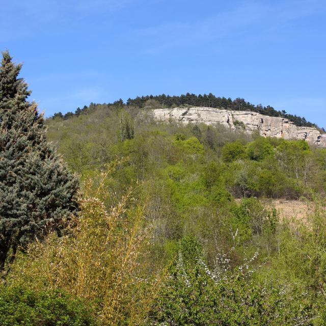 tanne-falaise-cormot-vauchignon