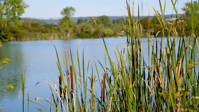 tailly-lac-nature