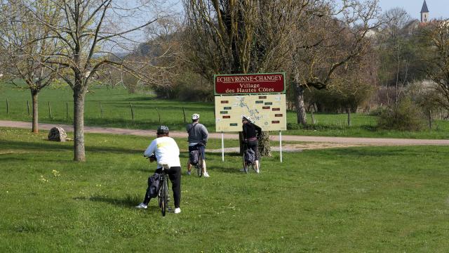 Velo Echevronne