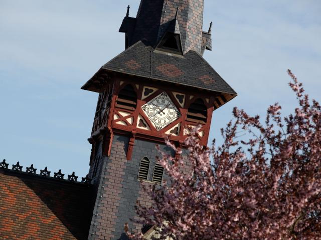 vignoles-fleur-clocher