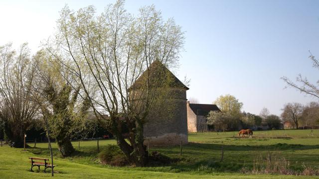 vignoles-parc-tour
