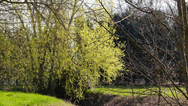 vignoles-riviere