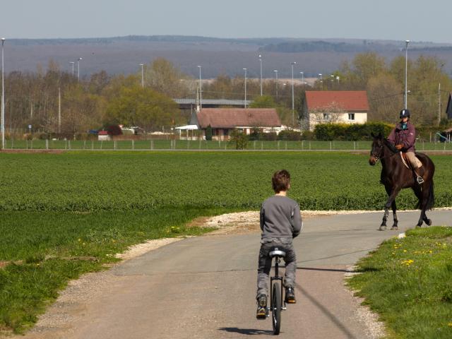 vignoles-velo-cheval