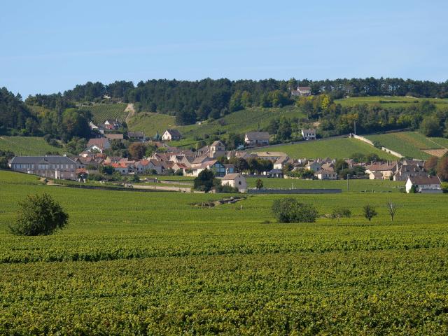 volnay-vigne-village